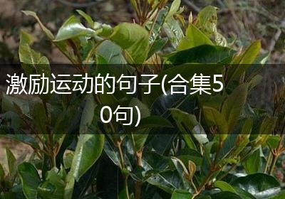 激励运动的句子(合集50句)