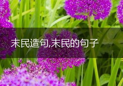 末民造句,末民的句子
