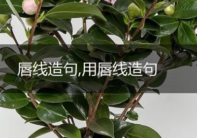 唇线造句,用唇线造句