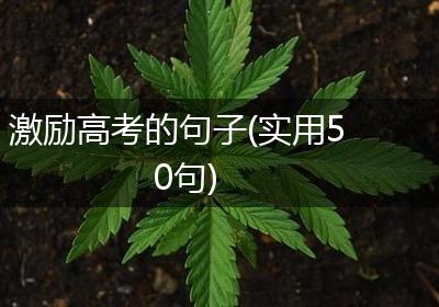 激励高考的句子(实用50句)