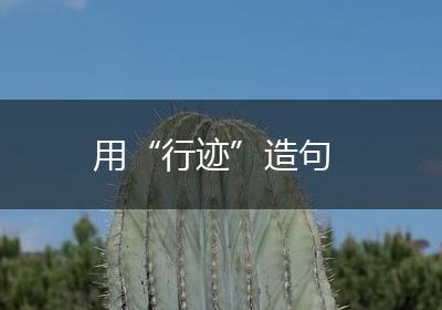 用“行迹”造句