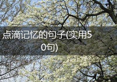 点滴记忆的句子(实用50句)