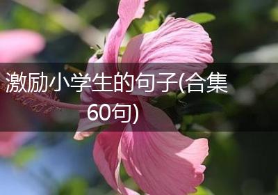 激励小学生的句子(合集60句)