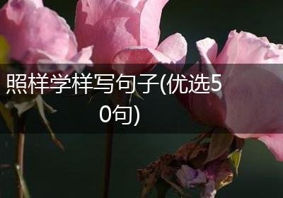 照样学样写句子(优选50句)