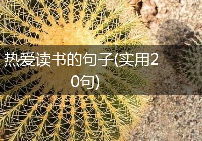 热爱读书的句子(实用20句)