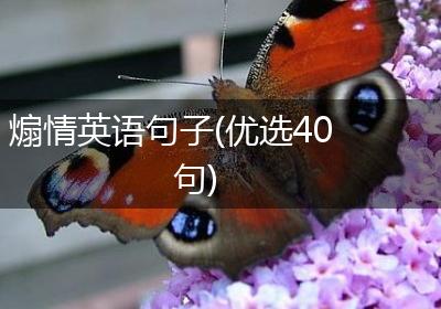 煽情英语句子(优选40句)