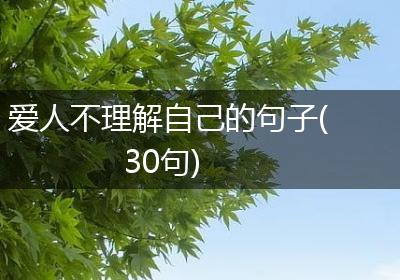 爱人不理解自己的句子(30句)