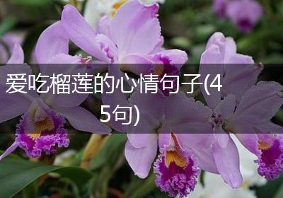 爱吃榴莲的心情句子(45句)