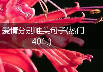 爱情分别唯美句子(热门40句)