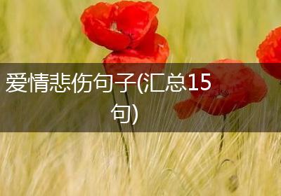 爱情悲伤句子(汇总15句)