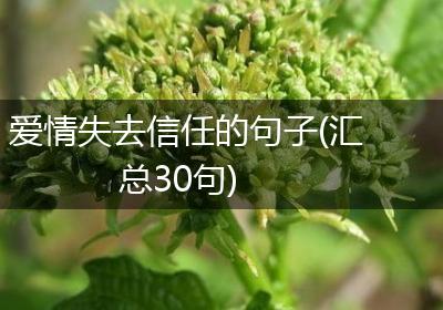 爱情失去信任的句子(汇总30句)