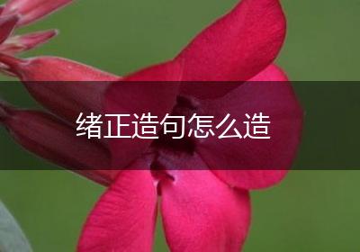 绪正造句怎么造