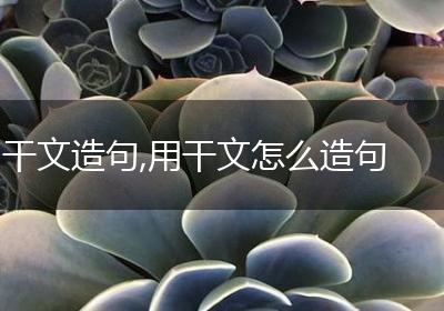 干文造句,用干文怎么造句