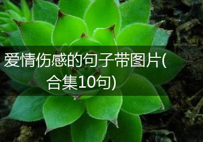 爱情伤感的句子带图片(合集10句)