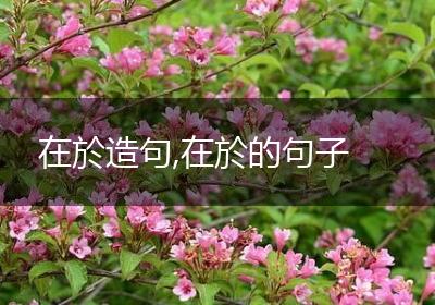 在於造句,在於的句子