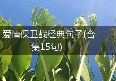 爱情保卫战经典句子(合集15句)