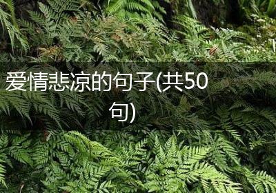 爱情悲凉的句子(共50句)