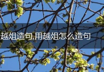 越俎造句,用越俎怎么造句