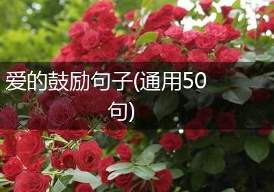 爱的鼓励句子(通用50句)