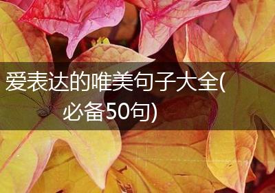 爱表达的唯美句子大全(必备50句)