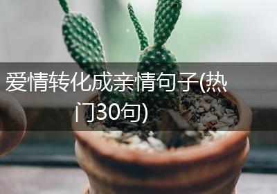 爱情转化成亲情句子(热门30句)