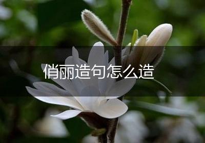 俏丽造句怎么造