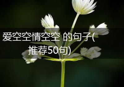 爱空空情空空 的句子(推荐50句)