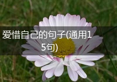 爱惜自己的句子(通用15句)