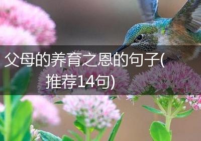 父母的养育之恩的句子(推荐14句)
