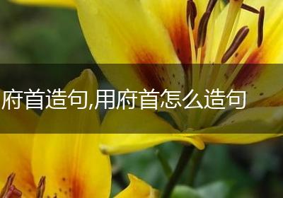府首造句,用府首怎么造句