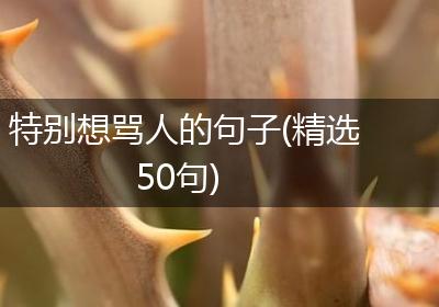 特别想骂人的句子(精选50句)