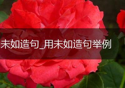 未如造句_用未如造句举例