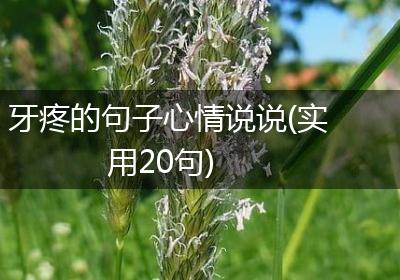 牙疼的句子心情说说(实用20句)