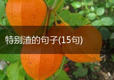 特别渣的句子(15句)