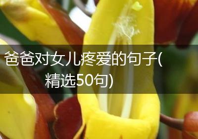 爸爸对女儿疼爱的句子(精选50句)