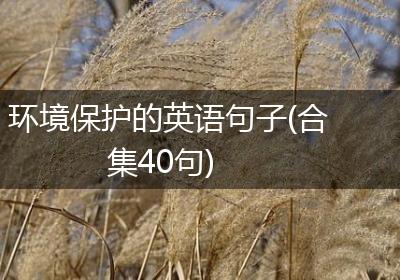 环境保护的英语句子(合集40句)