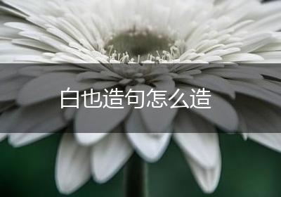 白也造句怎么造