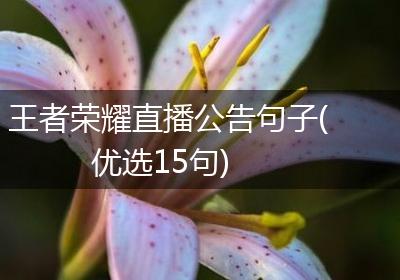 王者荣耀直播公告句子(优选15句)