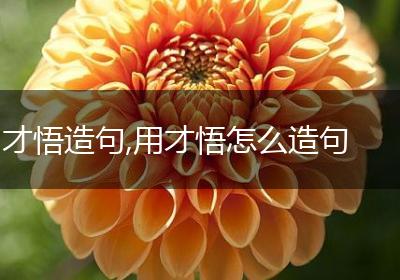 才悟造句,用才悟怎么造句