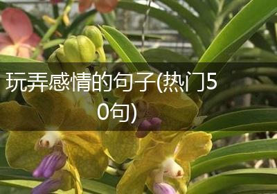 玩弄感情的句子(热门50句)