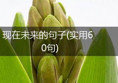 现在未来的句子(实用60句)