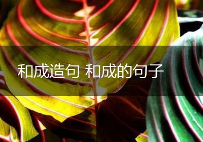 和成造句 和成的句子