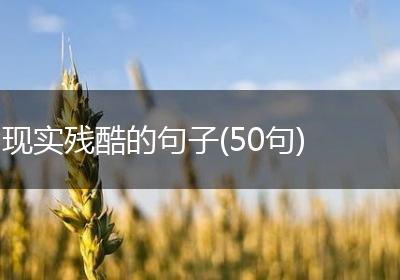 现实残酷的句子(50句)