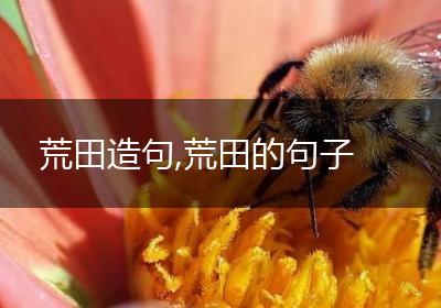 荒田造句,荒田的句子