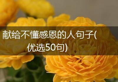 献给不懂感恩的人句子(优选50句)