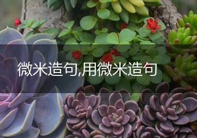 微米造句,用微米造句