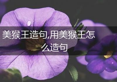 美猴王造句,用美猴王怎么造句