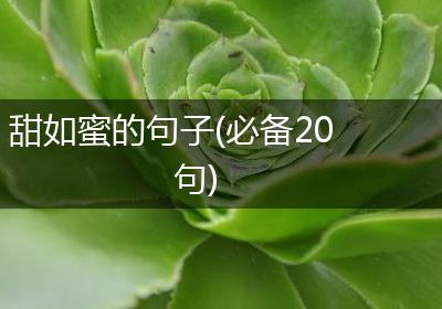 甜如蜜的句子(必备20句)