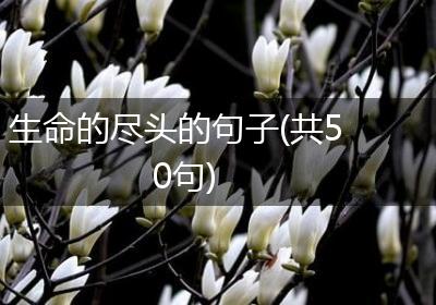 生命的尽头的句子(共50句)