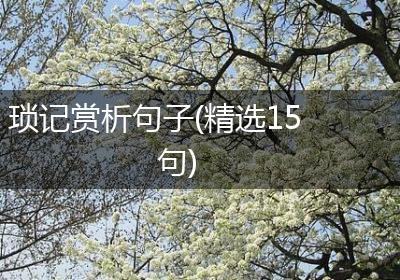 琐记赏析句子(精选15句)